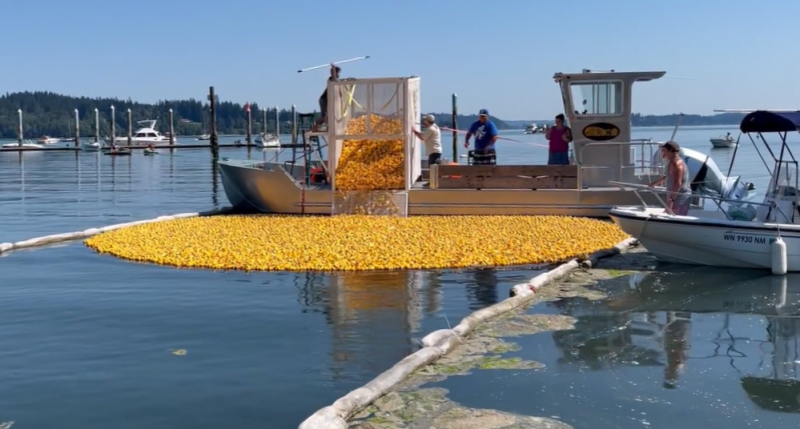 2022 Silverdale Rotary Duck Race on July 31